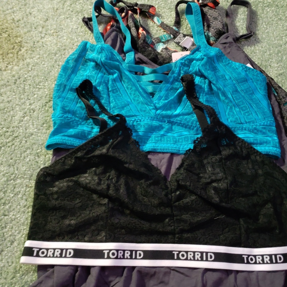 Torrid lot